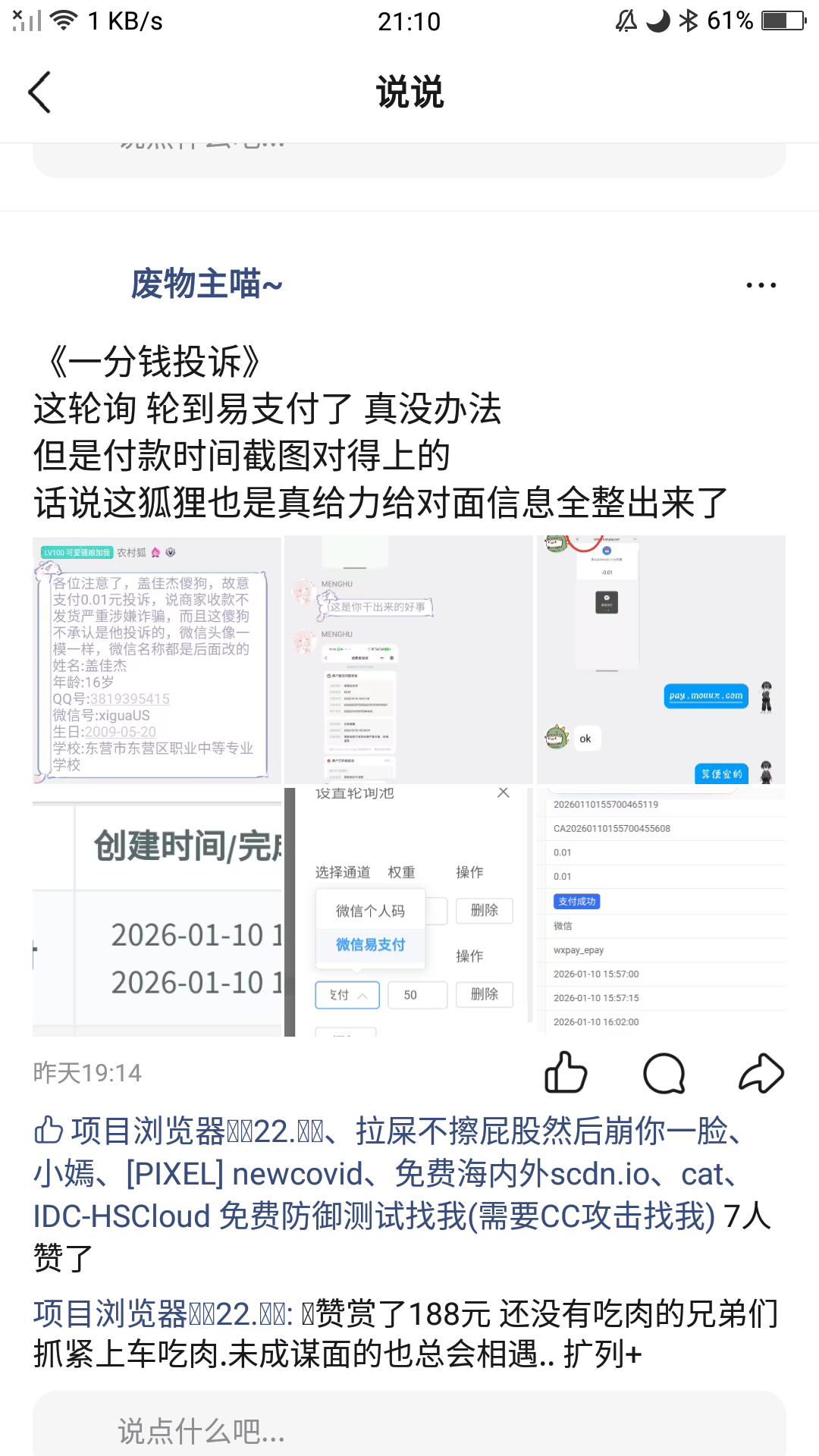 Q动态内容